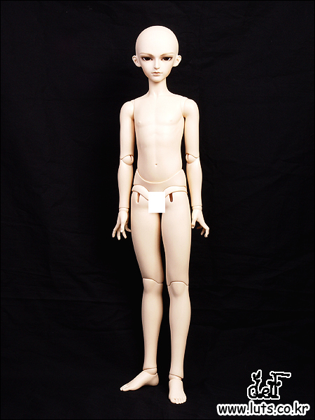 Body Types and Measurements – Cerberus Project BJD Database